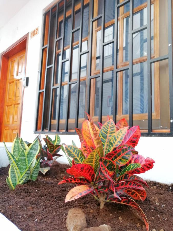 Apartament Aguamarina - Diamantes 2 Los Cristianos (Tenerife)