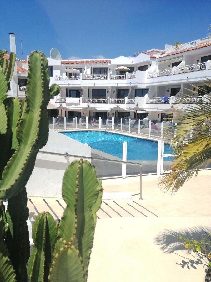 Aguamarina - Diamantes 2 Los Cristianos (Tenerife)